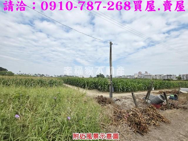 善化農地-4