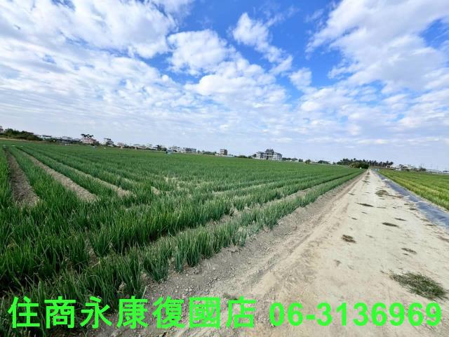 安南農地-2