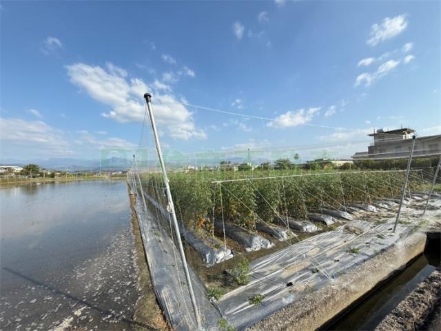 高雄農地-6