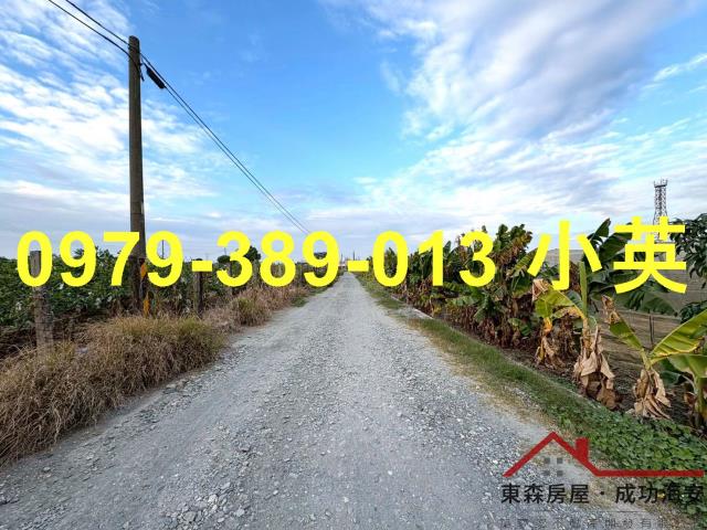 高雄路竹農地-0