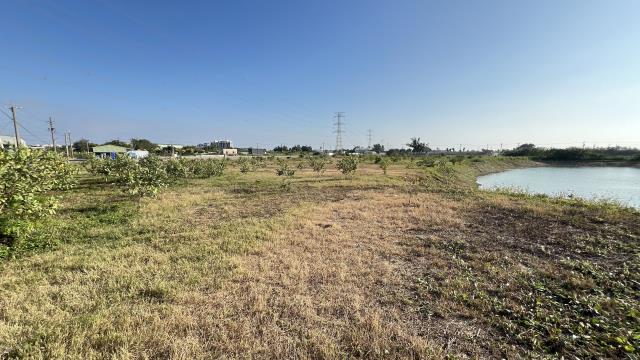高雄湖內農地-1