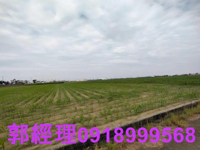台南農地-0