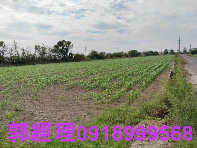 台南農地-4