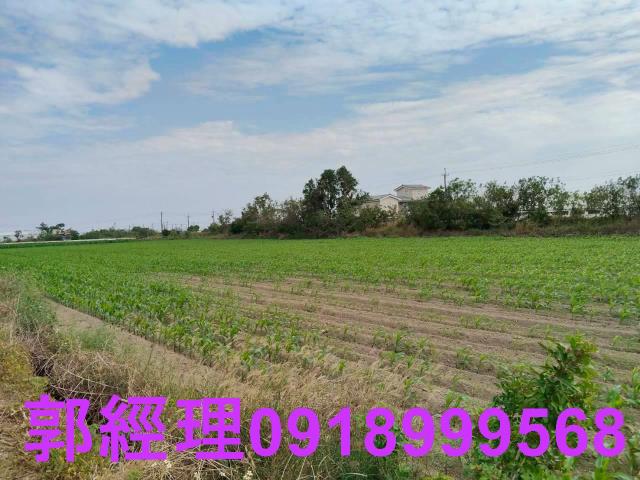 台南農地-6