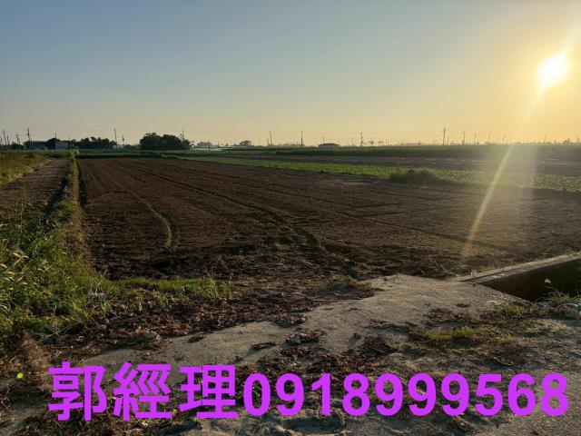 台南農地-2