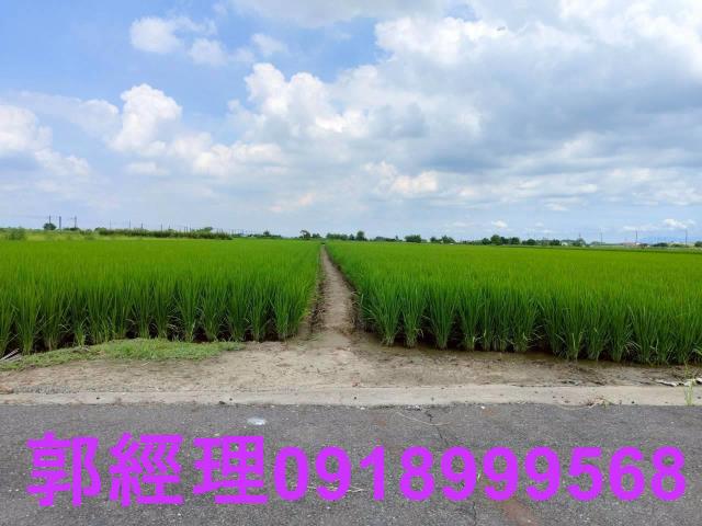 台南農地-9