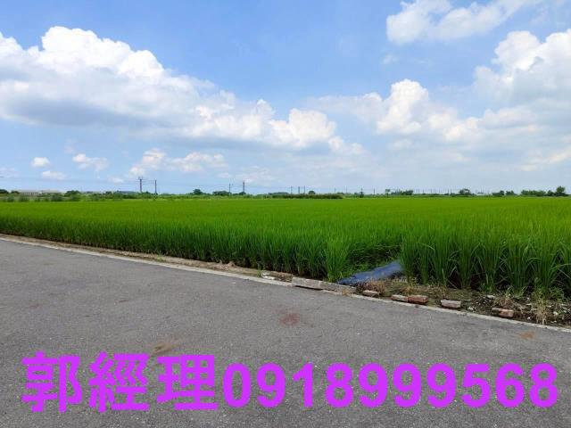台南農地-8