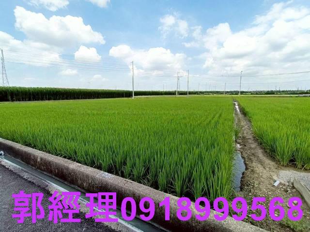 台南農地-1