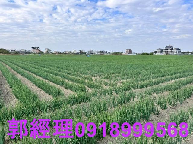 台南農地-1