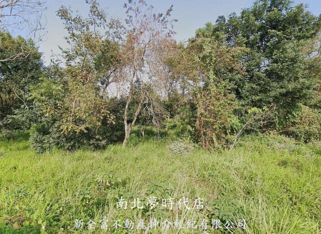 台南大內農地-1