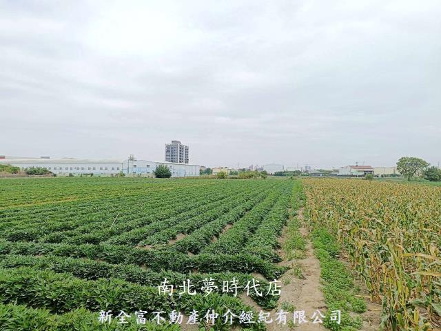 台南新化農地-7