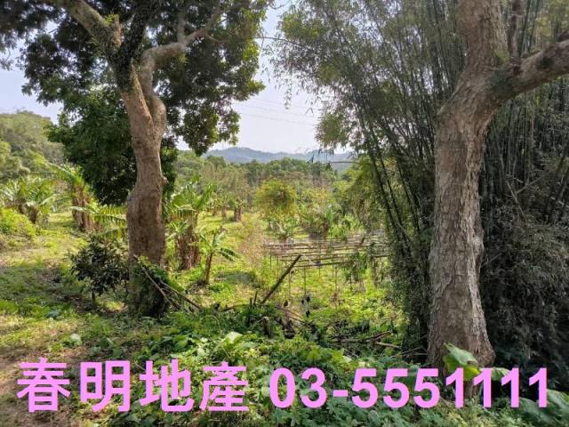 新竹竹東農地-2