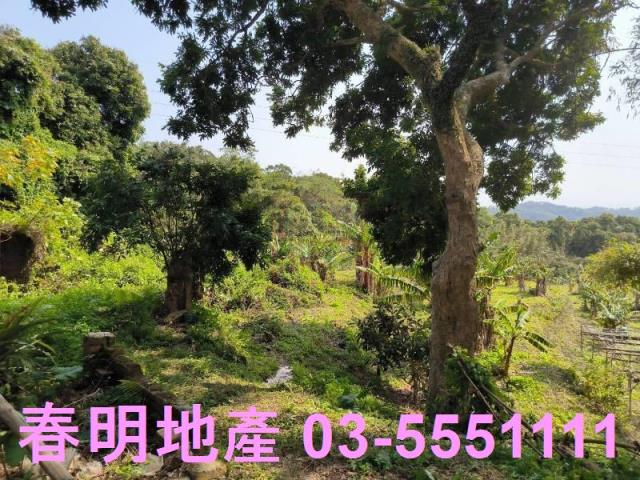 新竹竹東農地-4