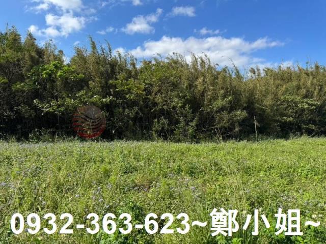 桃園大園農地-9