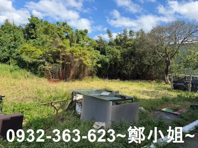 桃園大園農地-5