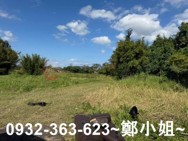 桃園大園農地-7