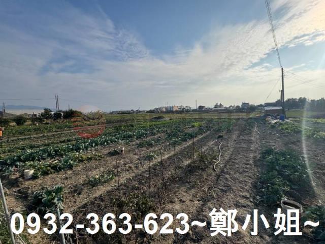 苗栗苑裡農地-5