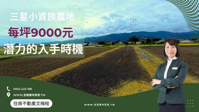 宜蘭縣宜蘭市進士一段農地出售