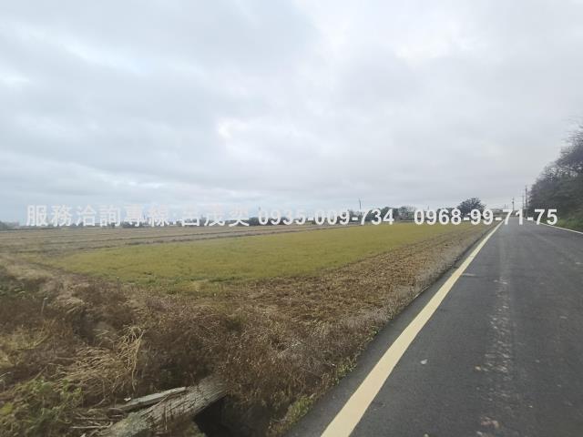 觀音農地-13