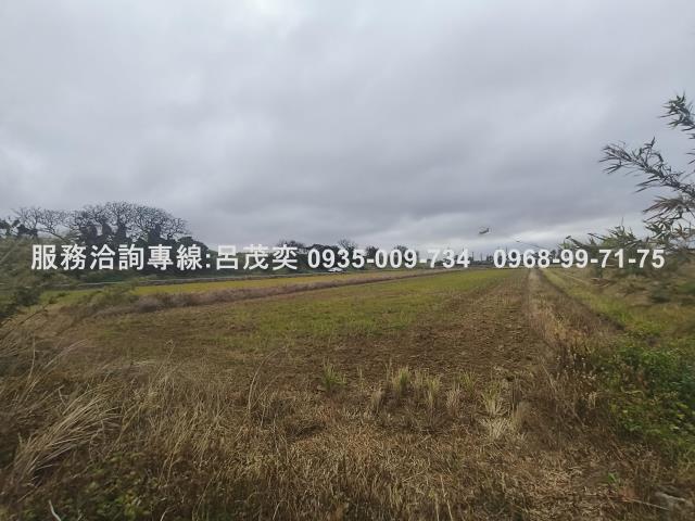觀音農地-5