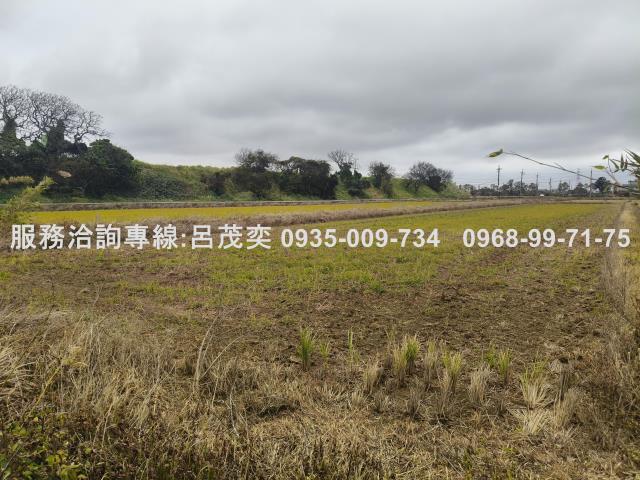 觀音農地-8