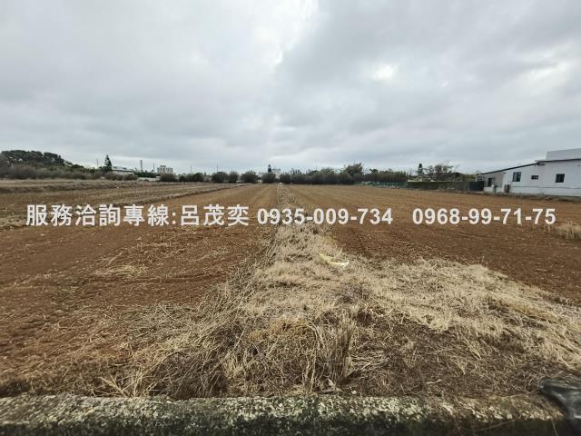 新屋農地-1