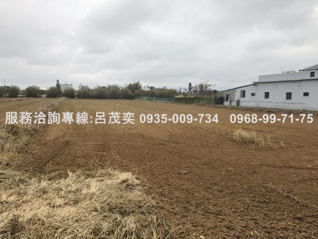 新屋農地-3