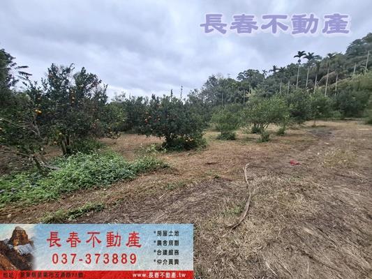 苗栗頭屋農地-4