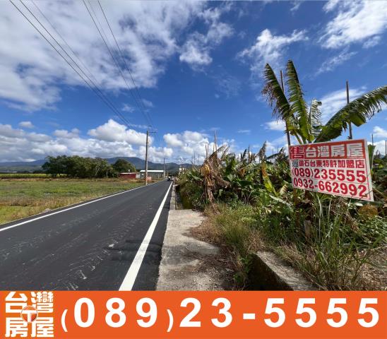 台東鹿野農地-9