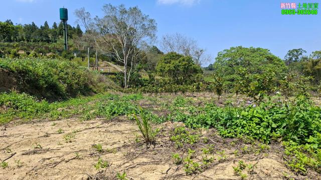 北埔農地-7