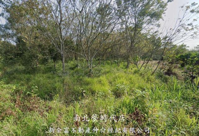 關廟農地-0
