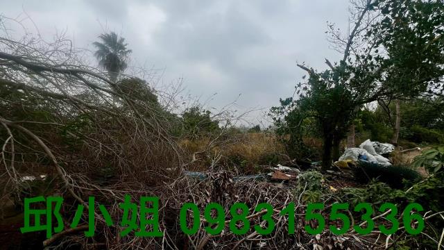 嘉義買房賣房房地合一稅建地農地