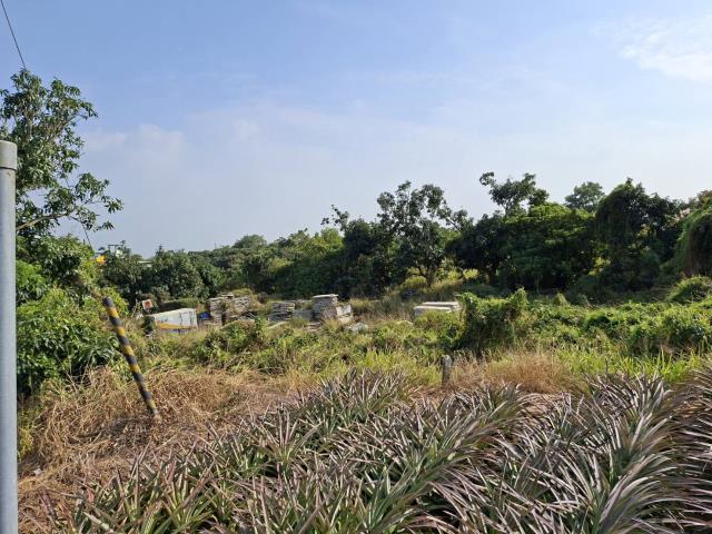 高雄農地-3