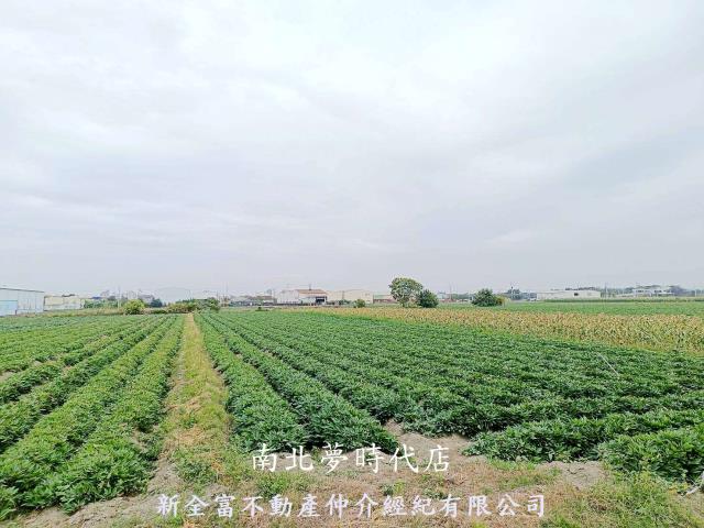 台南農地-2