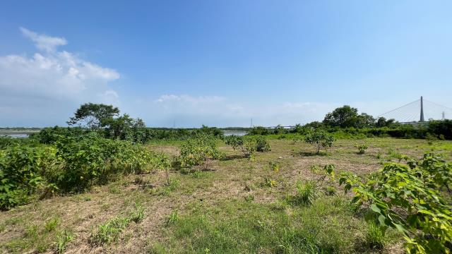 高雄旗山農地-1