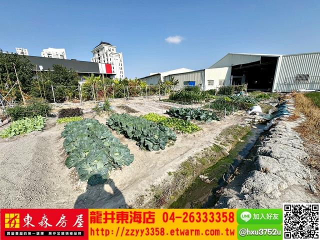 台中西屯農地-3