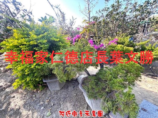 台南麻豆農地-6