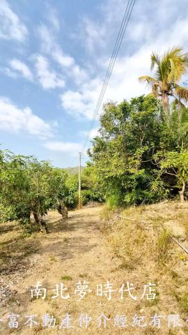 台南玉井農地-1