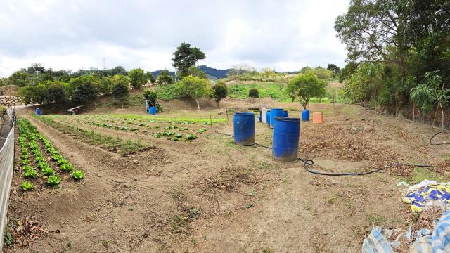 新竹北埔農地-0