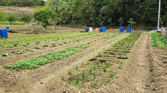 新竹北埔農地-1