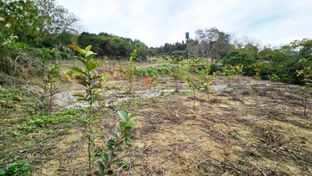 新竹北埔農地-11