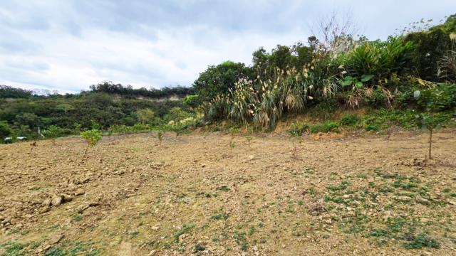 新竹北埔農地-7