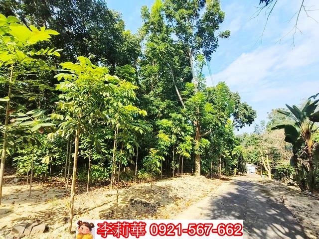 台南關廟農地-10