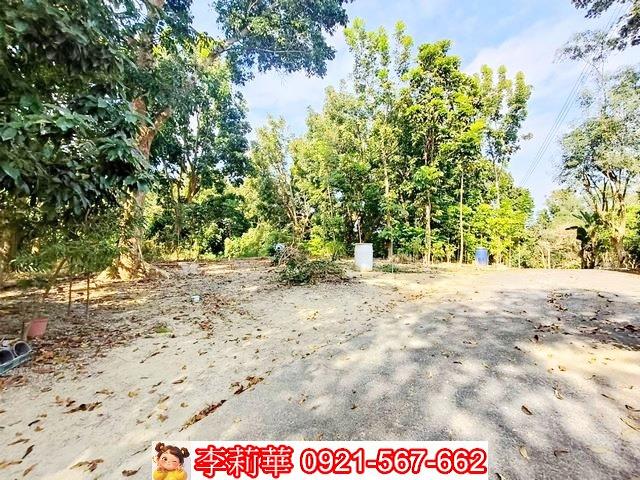 台南關廟農地-3