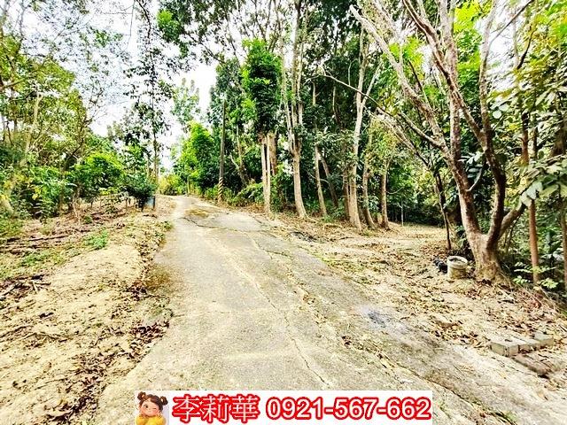 台南關廟農地-8