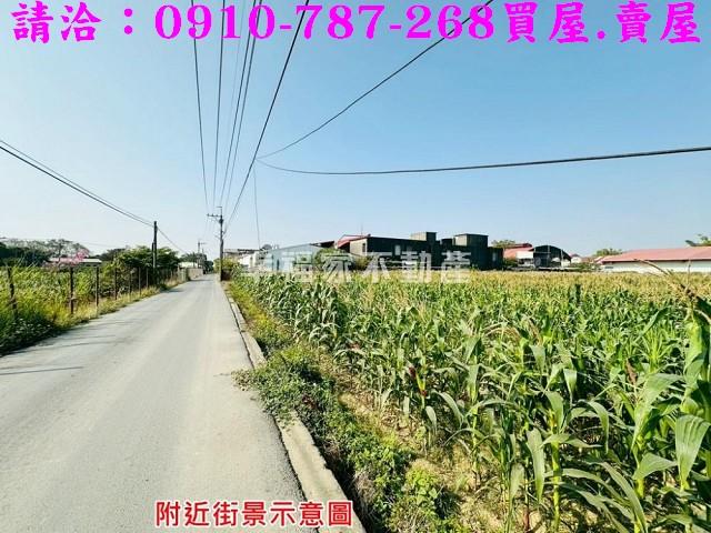 新市農地-10
