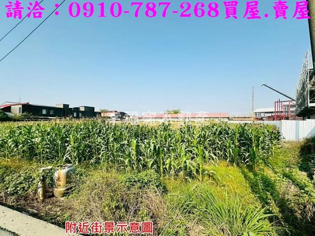 新市農地-4