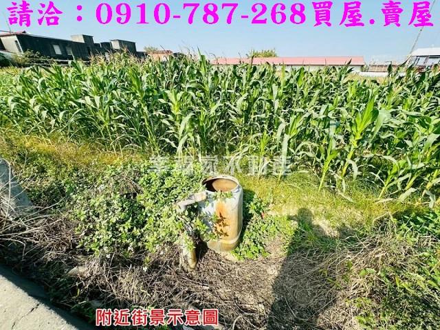 新市農地-5