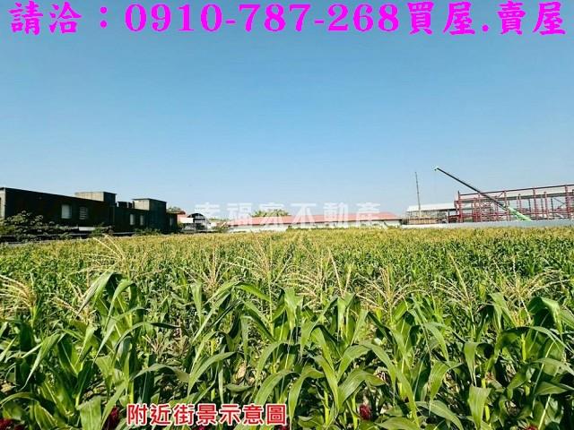 新市農地-6