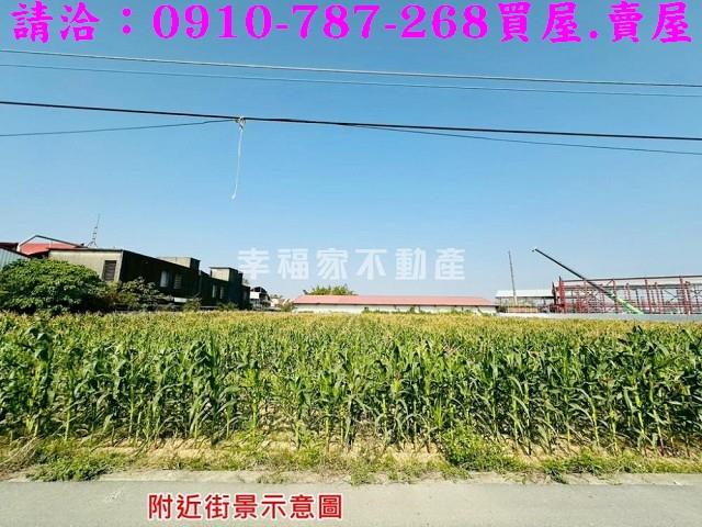新市農地-7